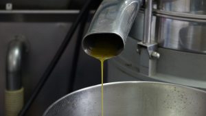 A tube with olive oil coming out of it at a food manufacturing facility
